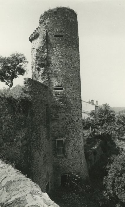 Château et fortifications : Tour nord-ouest, vue générale