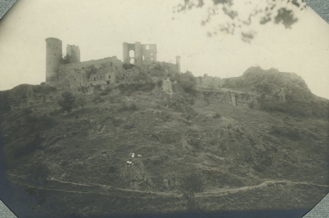 Ruines du Château fort de Rochebaron :Vue générale des ruines dans leur environnement depuis le Sud