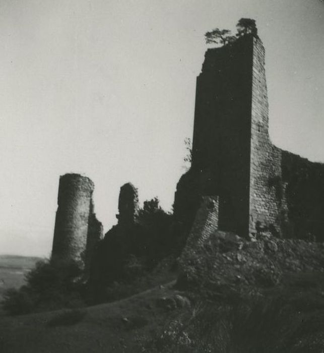 Ruines du Château fort de Rochebaron : Vue partielle des ruines depuis le Nord-Ouest