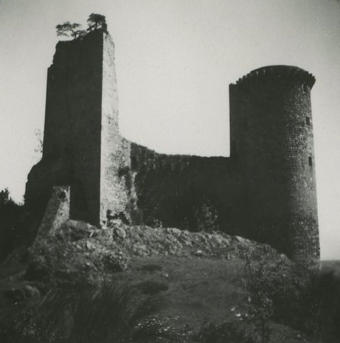 Ruines du Château fort de Rochebaron : Vue partielle des ruines depuis l’Ouest