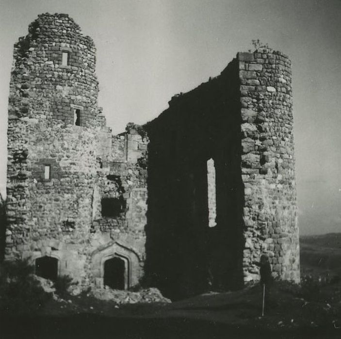 Ruines du Château fort de Rochebaron : Vue partielle des ruines depuis le Sud