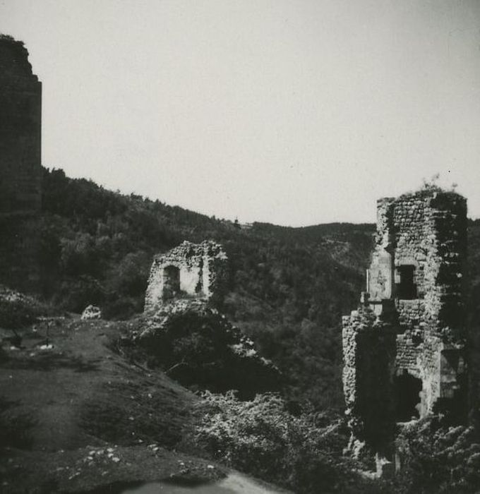 Ruines du Château fort de Rochebaron : Vue partielle des ruines depuis l’Est