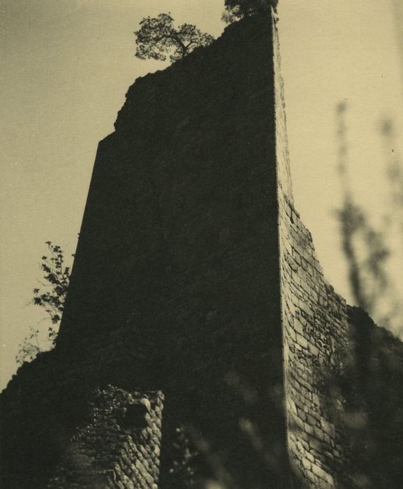 Ruines du Château fort de Rochebaron : Vue partielle des ruines, tour triangulaire