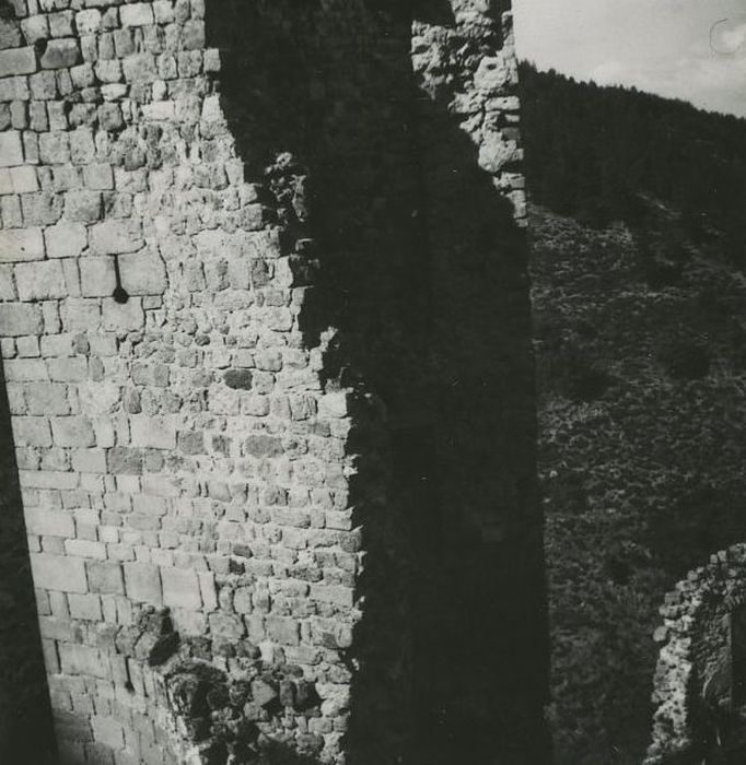 Ruines du Château fort de Rochebaron : Vue partielle des ruines, tour triangulaire