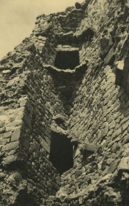 Ruines du Château fort de Rochebaron : Vue partielle des ruines, tour triangulaire