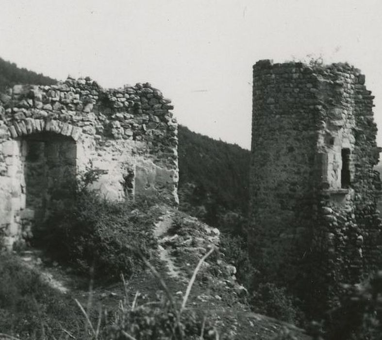 Ruines du Château fort de Rochebaron : Vue partielle des ruines