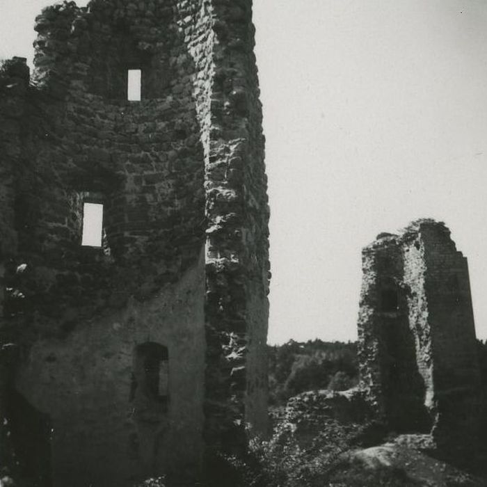 Ruines du Château fort de Rochebaron : Vue partielle des ruines