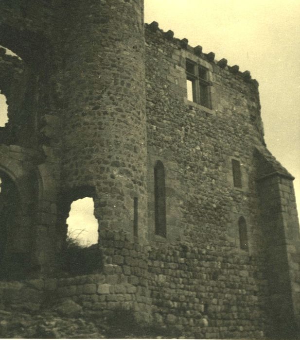 Ruines du Château fort de Rochebaron : Vue partielle des ruines, façade sud