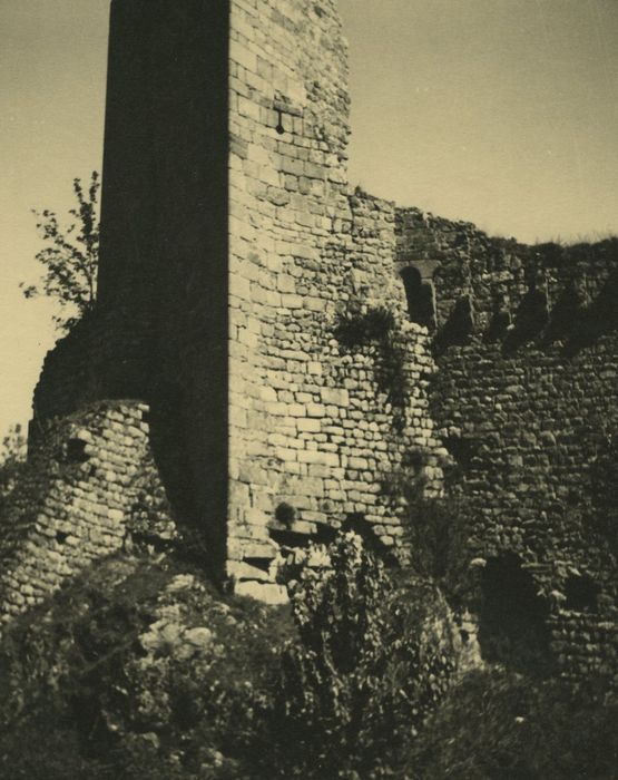 Ruines du Château fort de Rochebaron : Vue partielle des ruines, tour triangulaire