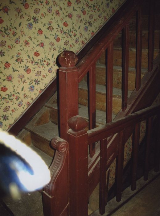 Maison Girard : Escalier, détail de la rampe