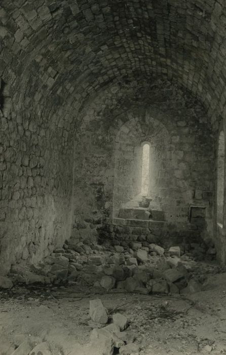 Ruines de la chapelle du Fraisse : Nef, vue générale