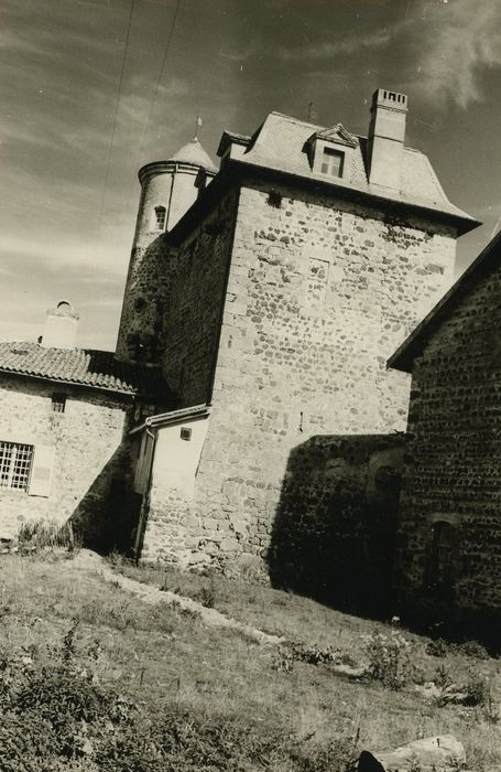 Château de Courbière : Donjon, élévation ouest, vue générale