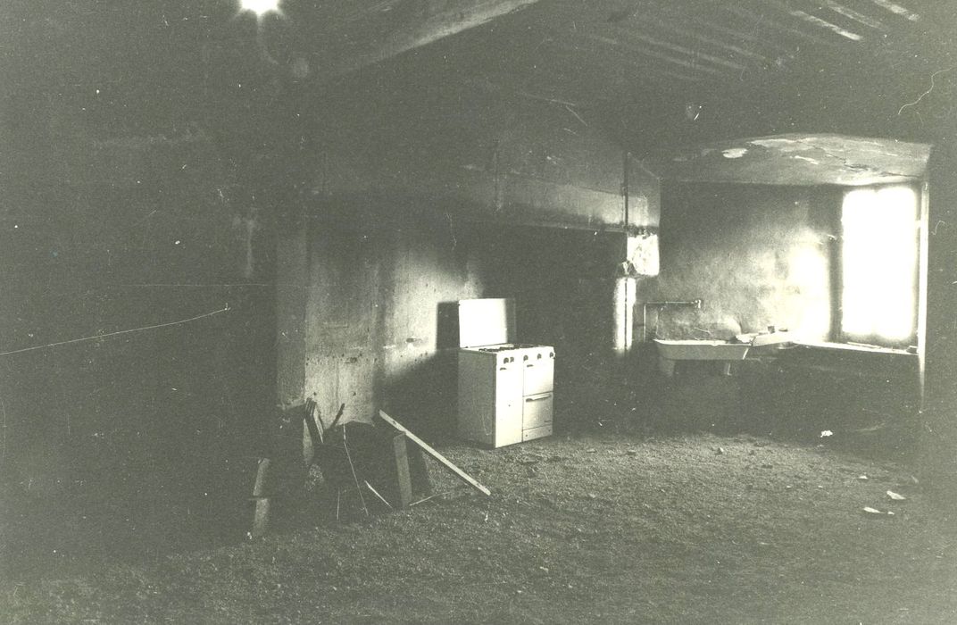 Maison forte ou château de la Borie-Chambarel : Cuisine, cheminée monumentale, vue générale