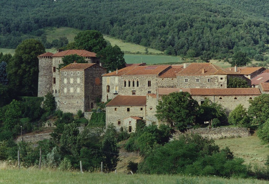 Château du Chambon : Vue géénrale du château dans son environnement depuis le Sud-Ouest