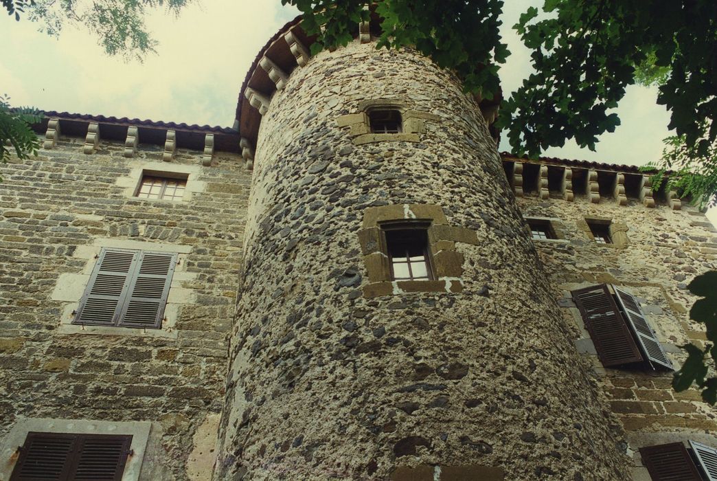 Château du Chambon : Façade sud, vue partielle