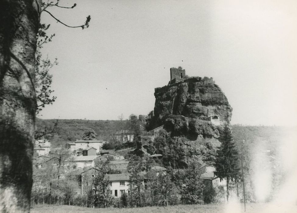 Vue générale du site depuis le sud