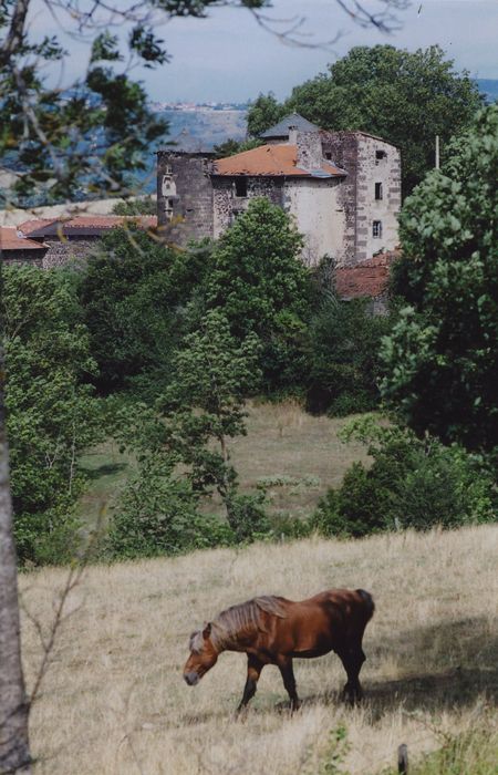 Château de la Valette : Vue partielle du château dans son environnement depuis le Sud-Est