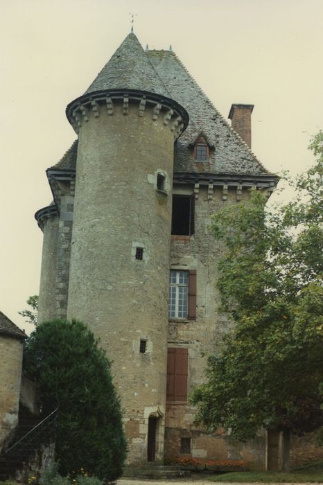 Grange de Pancy : Donjon, élévation sud, vue générale