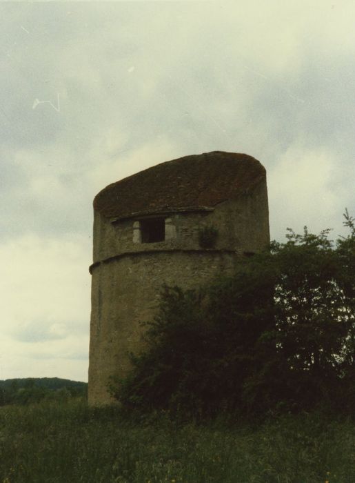 Grange de Pancy : Pigeonnier, vue générale