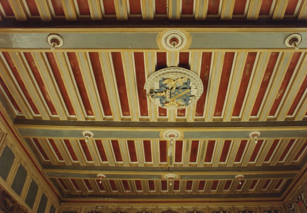 Château de Chastellux : Salle des gardes, vue partielle du plafond