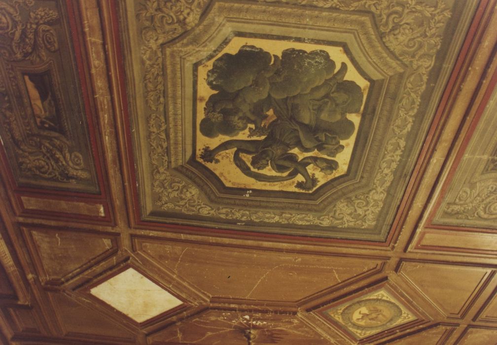 Château de Chastellux : Salle à manger, vue partielle du plafond