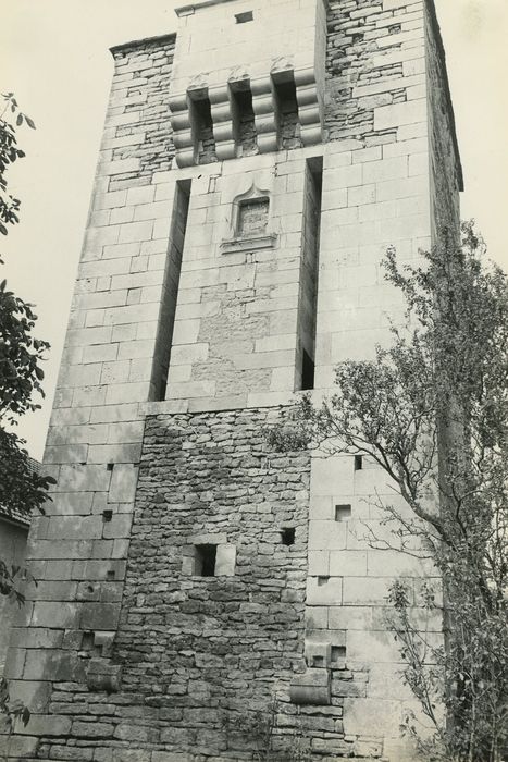 Château (ancien) : Poterne, élévation sud, vue générale