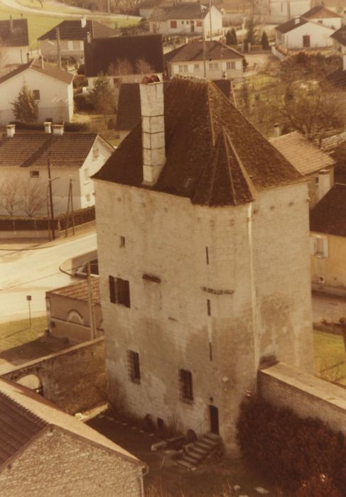 Donjon : Elévation nord et ouest, vue générale