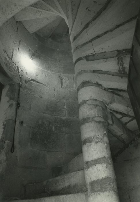 Donjon : Escalier à vis, vue partielle