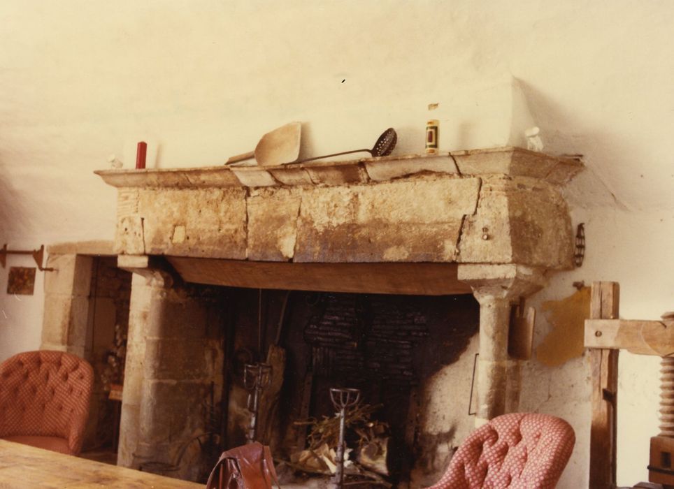 Château : Rez-de-chaussée, cuisine, cheminée monumentale, vue générale