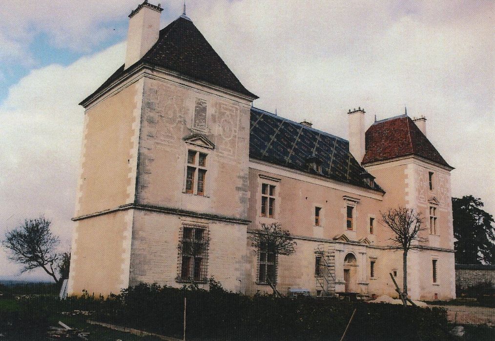 Château (restes) : Façade sud-est, vue générale