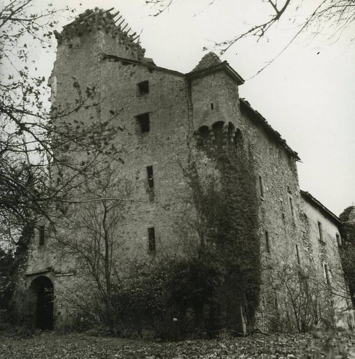 Château d'Avully (ruines) : Façades nord et ouest, vue partielle