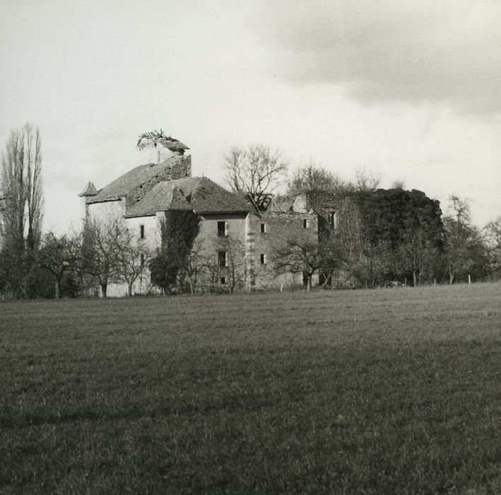 Château d'Avully (ruines) : Vue générale du château dans son environnement depuis le Sud