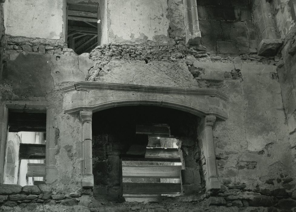 Château d'Avully (ruines) : Cheminée monumentale non localisée, vue générale