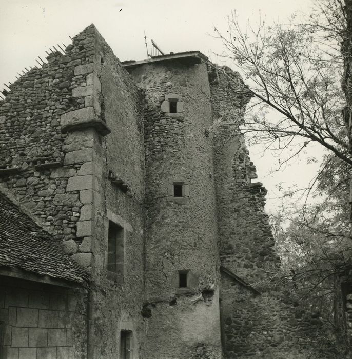 Château d'Avully (ruines) : Donjon ruiné, vue partielle