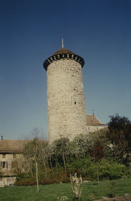 Château : Donjon, vue générale