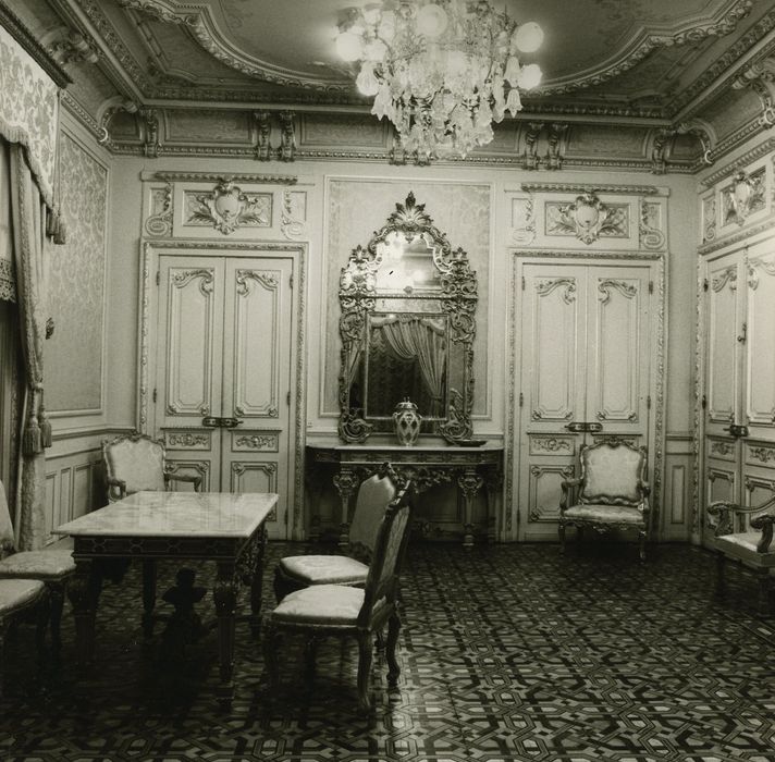 Hôtel de ville (ancien hôtel de la famille Lumière) : Salon d’honneur, vue partielle