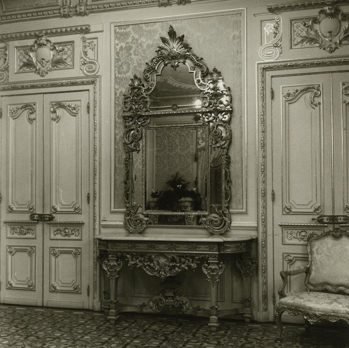 Hôtel de ville (ancien hôtel de la famille Lumière) : Salon d’honneur, vue partielle