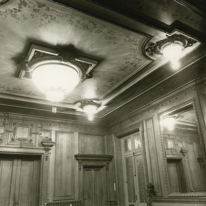 Hôtel de ville (ancien hôtel de la famille Lumière) : Salle du Conseil, vue partielle du plafond