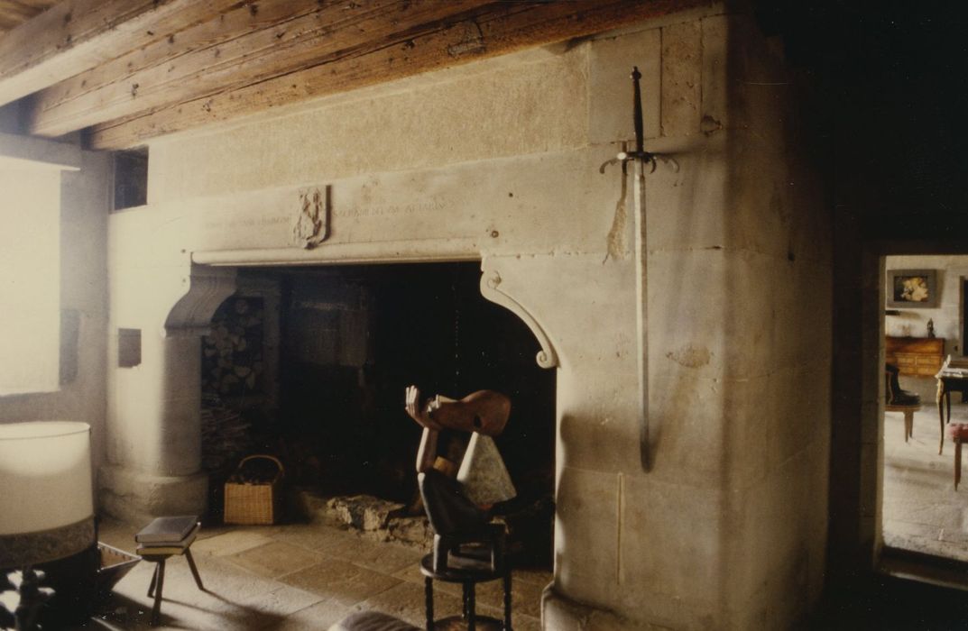 Château de Novéry : Rez-de-chaussée, cheminée monumentale, vue générale