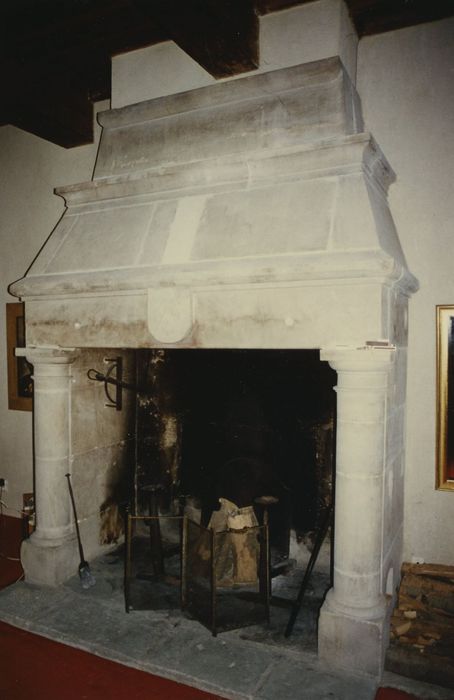 Château de Novéry : 1er étage, cheminée, vue générale