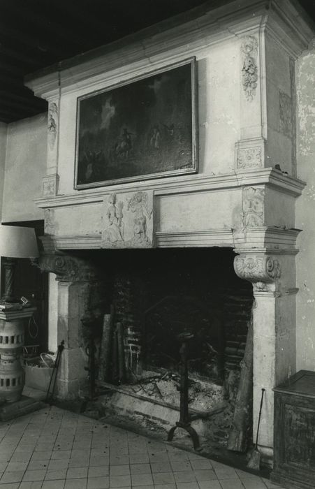 Château de Paray : Salle à manger, cheminée monumentale, vue générale