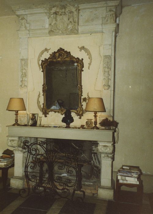 Château de Paray : Salon, cheminée, vue générale