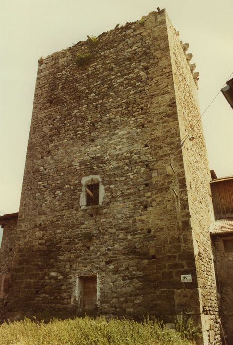 Château de Montmayeur : Donjon, élévation nord, vue générale