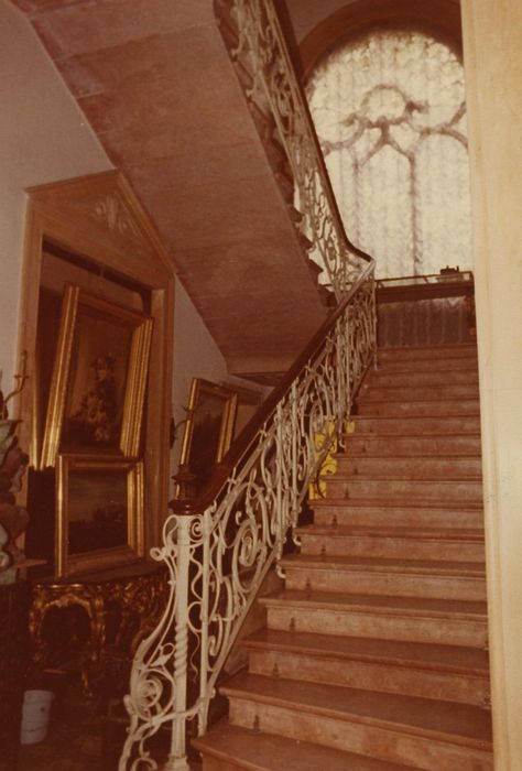 Château de la Roche du Roi : Escalier, vue partielle