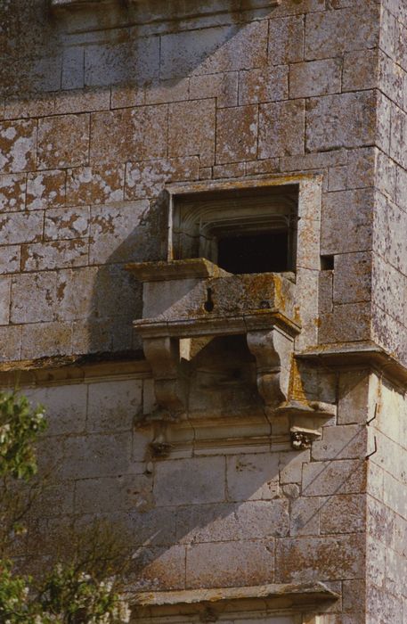 Château de Faulin : Façade nord-ouest, tour d’escalier, détail de la bretèche-assomoir