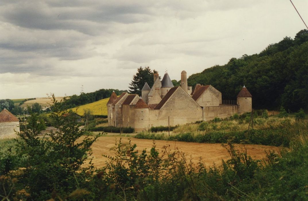 Château de Faulin : Vue générale des bâtiments dans leur environnement depuis le Sud-Ouest