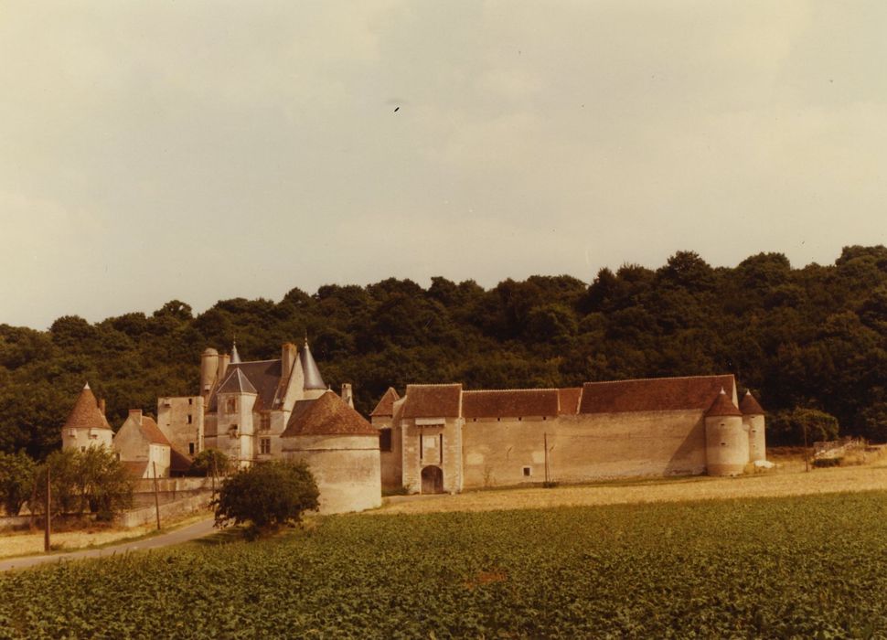 Château de Faulin : Vue générale des bâtiments dans leur environnement depuis l’Ouest