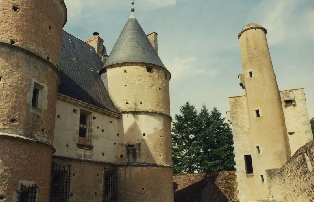 Château de Faulin : Corps de logis, donjon, ensemble sud-est, vue partielle