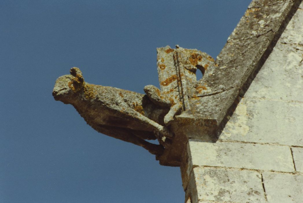 Château de Faulin : Détail d’une gargouille