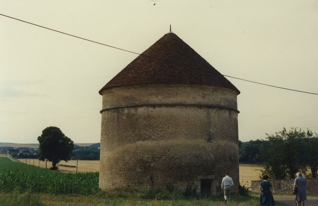 Château de Faulin : Pigeonnier, vue générale